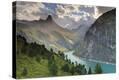 Stretched Canvas Print