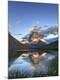 Photographic Print