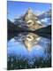 Photographic Print