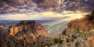 USA, Arizona, Grand Canyon National Park, North Rim, Cape Royale-Michele Falzone-Photographic Print