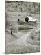 Photographic Print