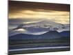 Photographic Print