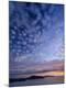 Premium Photographic Print