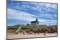 Photographic Print