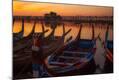 Photographic Print