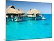 Premium Photographic Print