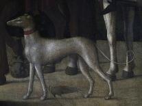 Dog-Michelle da Verona-Framed Giclee Print