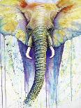Mother & Baby Elephant Rainbow Colors-Michelle Faber-Giclee Print