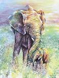 Mother & Baby Elephant Rainbow Colors-Michelle Faber-Giclee Print