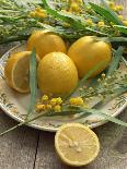 Plate of Lemons and Mimosa Flowers-Michelle Garrett-Framed Premier Image Canvas