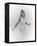 Michelle Pfeiffer-null-Framed Stretched Canvas