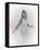 Michelle Pfeiffer-null-Framed Stretched Canvas