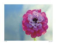Laced-Michelle Wermuth-Giclee Print