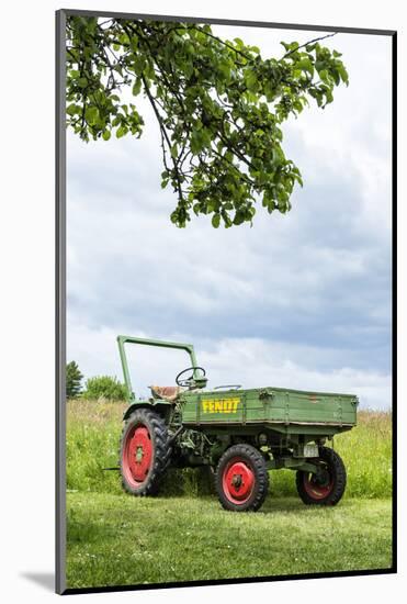 Michelstadt, Hessen, Germany, Fendt, Dieselross F 220 Gt-Bernd Wittelsbach-Mounted Photographic Print