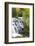 Michigan, Ontonagon County, Bond Falls-Jamie & Judy Wild-Framed Photographic Print