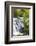 Michigan, Ontonagon County, Bond Falls-Jamie & Judy Wild-Framed Photographic Print