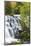 Michigan, Ontonagon County, Bond Falls-Jamie & Judy Wild-Mounted Photographic Print