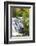 Michigan, Ontonagon County, Bond Falls-Jamie & Judy Wild-Framed Photographic Print