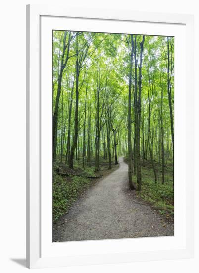 Michigan, Pictured Rocks National Lakeshore, trail to Miners Falls-Jamie & Judy Wild-Framed Premium Photographic Print