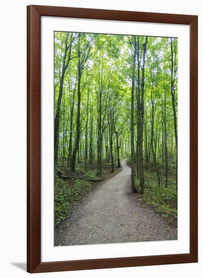 Michigan, Pictured Rocks National Lakeshore, trail to Miners Falls-Jamie & Judy Wild-Framed Premium Photographic Print