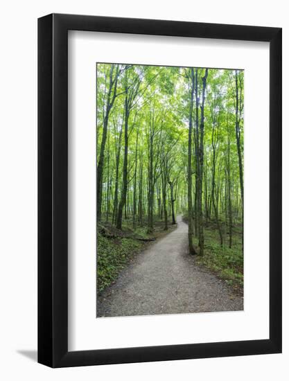 Michigan, Pictured Rocks National Lakeshore, trail to Miners Falls-Jamie & Judy Wild-Framed Photographic Print