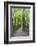 Michigan, Pictured Rocks National Lakeshore, trail to Miners Falls-Jamie & Judy Wild-Framed Photographic Print