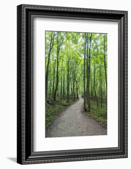 Michigan, Pictured Rocks National Lakeshore, trail to Miners Falls-Jamie & Judy Wild-Framed Photographic Print