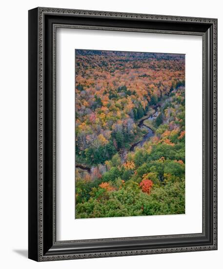 Michigan, Porcupine Mountains. the Big Carp River in Autumn-Julie Eggers-Framed Photographic Print