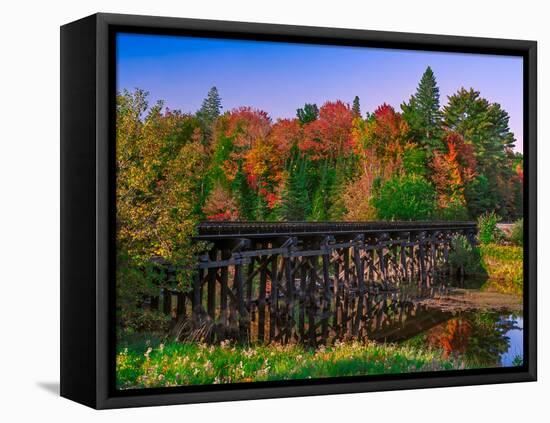 Michigan Rail Bridge-Steven Maxx-Framed Premier Image Canvas
