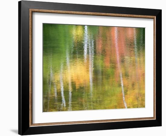 Michigan, Upper Peninsul. Reflection of Blurred Autumn Woodland-Julie Eggers-Framed Photographic Print