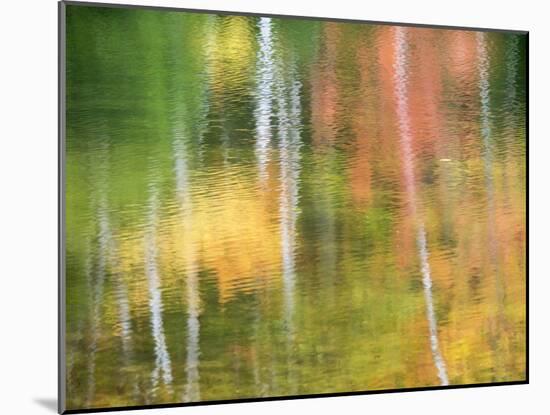 Michigan, Upper Peninsul. Reflection of Blurred Autumn Woodland-Julie Eggers-Mounted Photographic Print