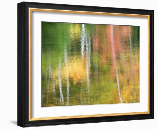 Michigan, Upper Peninsul. Reflection of Blurred Autumn Woodland-Julie Eggers-Framed Photographic Print