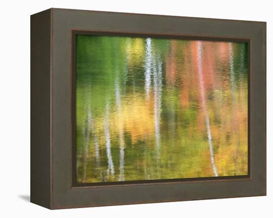 Michigan, Upper Peninsul. Reflection of Blurred Autumn Woodland-Julie Eggers-Framed Premier Image Canvas