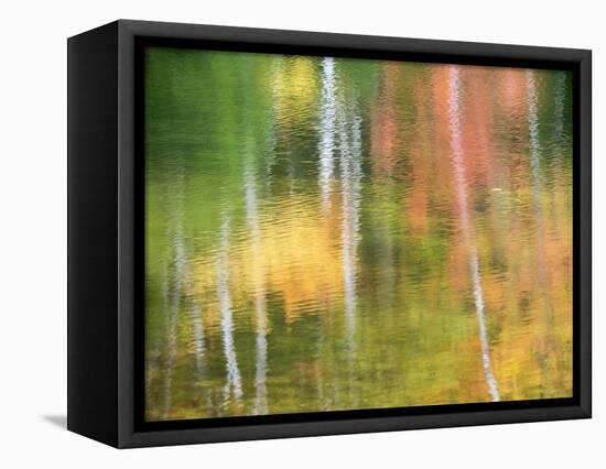 Michigan, Upper Peninsul. Reflection of Blurred Autumn Woodland-Julie Eggers-Framed Premier Image Canvas