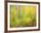 Michigan, Upper Peninsula. a Panned Motion Blur of Autumn Woodland-Julie Eggers-Framed Photographic Print