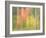 Michigan, Upper Peninsula. a Panned Motion Blur of Autumn Woodland-Julie Eggers-Framed Photographic Print