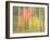 Michigan, Upper Peninsula. a Panned Motion Blur of Autumn Woodland-Julie Eggers-Framed Photographic Print