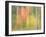 Michigan, Upper Peninsula. a Panned Motion Blur of Autumn Woodland-Julie Eggers-Framed Photographic Print