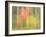 Michigan, Upper Peninsula. a Panned Motion Blur of Autumn Woodland-Julie Eggers-Framed Photographic Print