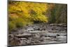 Michigan, Upper Peninsula. Autumn-Colored Trees Along Sturgeon River-Don Grall-Mounted Photographic Print
