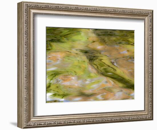 Michigan, Upper Peninsula. Autumn Forest Colors on the Ontonagon River-Julie Eggers-Framed Photographic Print