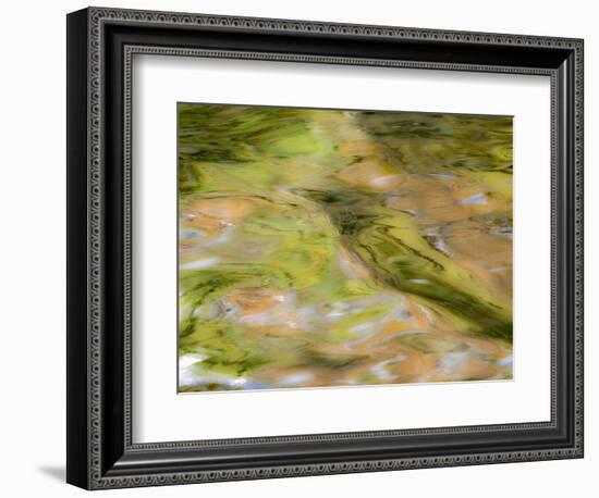 Michigan, Upper Peninsula. Autumn Forest Colors on the Ontonagon River-Julie Eggers-Framed Photographic Print