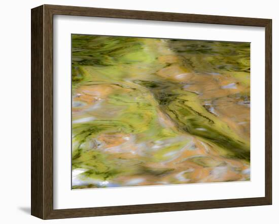 Michigan, Upper Peninsula. Autumn Forest Colors on the Ontonagon River-Julie Eggers-Framed Photographic Print