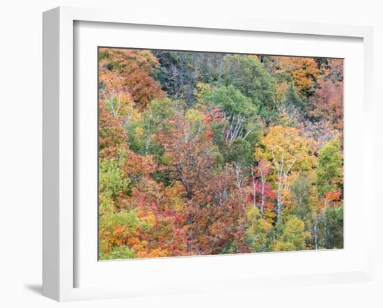 Michigan, Upper Peninsula. Autumn in Porcupine Mountains Wilderness SP-Julie Eggers-Framed Photographic Print