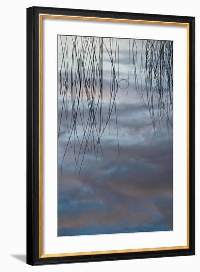 Michigan, Upper Peninsula. Cloud Reflections in Thornton Lake-Jaynes Gallery-Framed Photographic Print