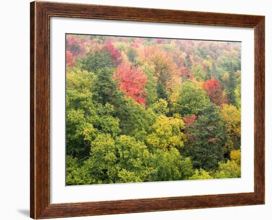 Michigan, Upper Peninsula. Colorful Autumn Tree Scenic-Julie Eggers-Framed Photographic Print