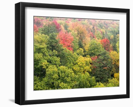 Michigan, Upper Peninsula. Colorful Autumn Tree Scenic-Julie Eggers-Framed Photographic Print