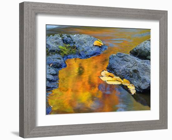 Michigan, Upper Peninsula. Fall Colors Along the River with Leaves-Julie Eggers-Framed Photographic Print