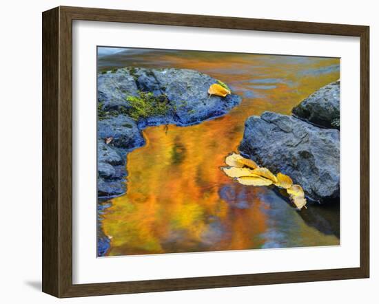Michigan, Upper Peninsula. Fall Colors Along the River with Leaves-Julie Eggers-Framed Photographic Print