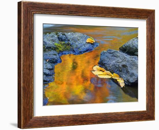 Michigan, Upper Peninsula. Fall Colors Along the River with Leaves-Julie Eggers-Framed Photographic Print